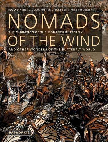 9781901092929: Nomads of the Wind: The Migration of the Monarch Butterfly and Other Wonders of the Butterfly World