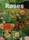 Stock image for Roses: Varieties and Species - Descriptions and Photographs for sale by Yesterday's Books