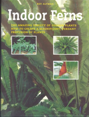 9781901094510: Indoor Ferns: Caring for Ferns