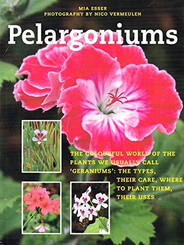 Imagen de archivo de Pelargoniums a la venta por AwesomeBooks