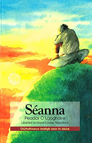 9781901176001: Seanna