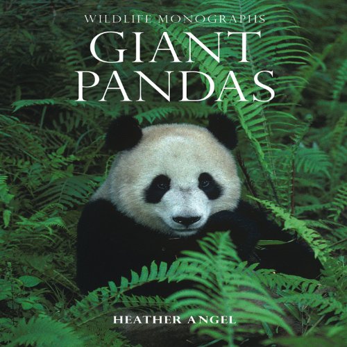 9781901268133: Wildlife Monographs:Giant Pand