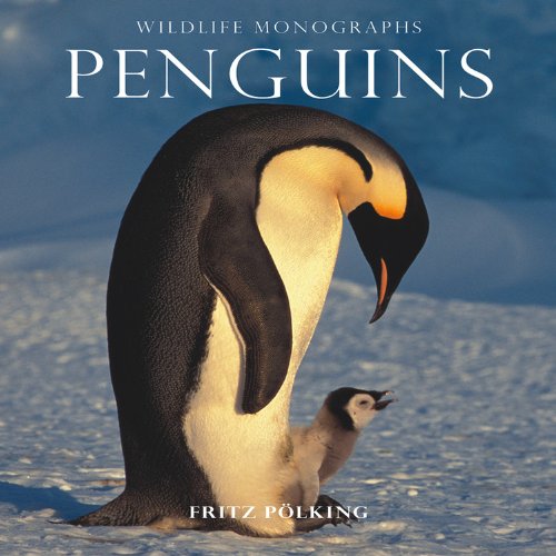 Stock image for Penguins (Wildlife Monographs) for sale by WorldofBooks
