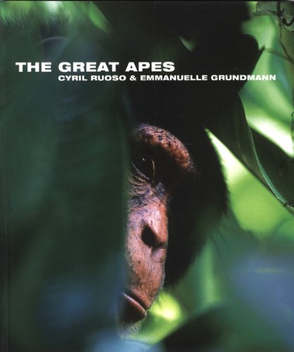 Beispielbild fr The Great Apes (Wild Things) zum Verkauf von Redux Books