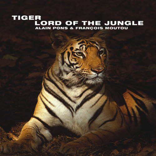 Stock image for Tiger: Lord of the Jungle (Wild Things) for sale by AwesomeBooks