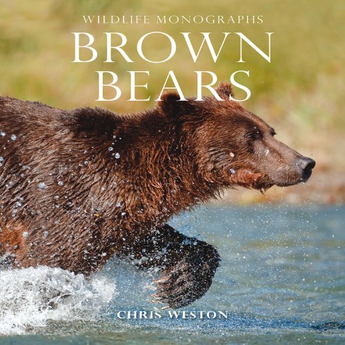 Beispielbild fr Brown Bears (Wildlife Monographs) zum Verkauf von WorldofBooks