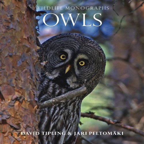 Beispielbild fr Owls (Wildlife Monographs) zum Verkauf von WeBuyBooks