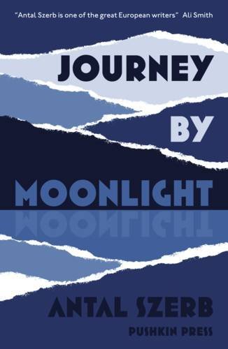 9781901285376: Journey by Moonlight (Pushkin Collection)