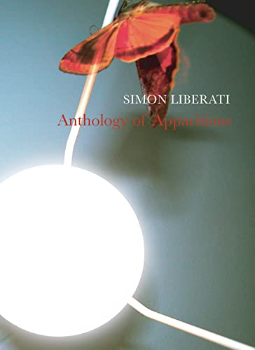 Stock image for Anthology of Apparitions (B-Format Paperback) for sale by WorldofBooks
