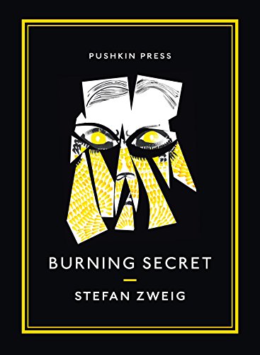 9781901285857: Burning Secret (Pushkin Collection)