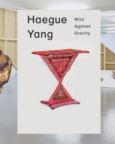 Haegue Yang: Wild Against Gravity (9781901352528) by [???]