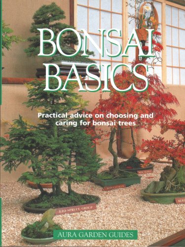 Stock image for BONSAI BASICS for sale by ThriftBooks-Atlanta