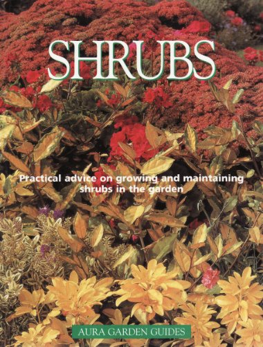Beispielbild fr Shrubs (Aura Garden Guides) zum Verkauf von WorldofBooks