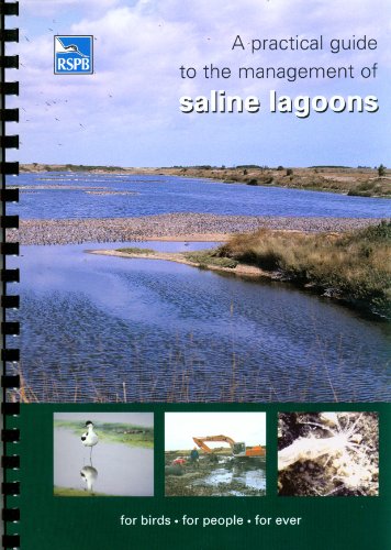 Stock image for A Practical Guide to the Management of Saline Lagoons (RSPB Management Guides) for sale by J J Basset Books, bassettbooks, bookfarm.co.uk