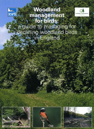 Beispielbild fr Woodland Management for Birds: A guide to managing for declining woodland birds in England (RSPB Management Guides) zum Verkauf von WorldofBooks