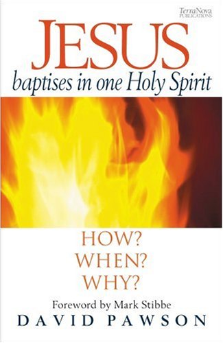 Beispielbild fr Jesus Baptises in One Holy Spirit zum Verkauf von WorldofBooks