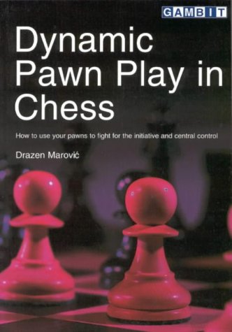 Stock image for Dynamic Pawn Play in Chess for sale by ThriftBooks-Atlanta
