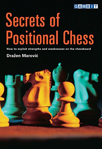 Beispielbild fr Secrets of Positional Chess zum Verkauf von David's Books