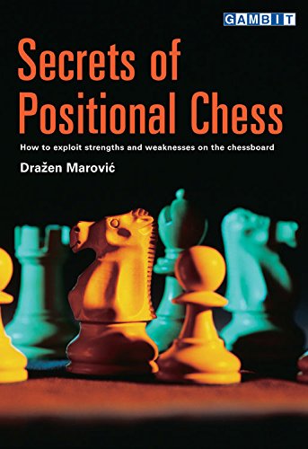 9781901983739: Secrets of Positional Chess