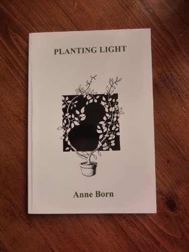 Beispielbild fr Planting Light zum Verkauf von Reuseabook