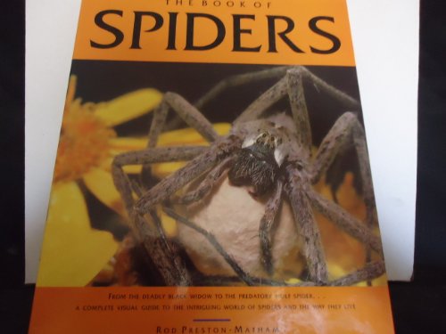 Stock image for Book of Spiders for sale by WorldofBooks