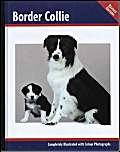 Beispielbild fr Border Collie (Pet Love) zum Verkauf von WorldofBooks