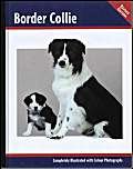 9781902389103: Pet Love Border Collie