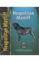 Neapolitan Mastiff