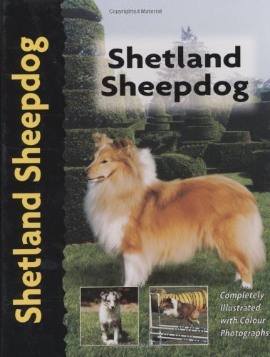 Stock image for Shetland Sheepdog (Pet love) for sale by WorldofBooks