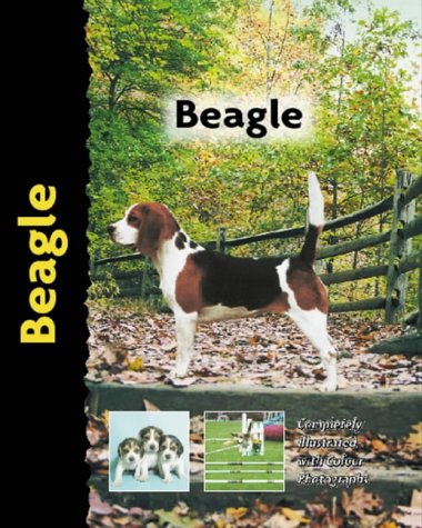 Stock image for Beagle for sale by More Than Words