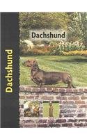 Imagen de archivo de Pet Love Dachshund a la venta por Reuseabook