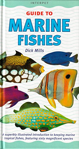 Imagen de archivo de Marine Fishes: A Superbly Illustrated Introduction to Keeping Tropical Marine Fishes, Featuring Over 50 Magnificent Species a la venta por ThriftBooks-Atlanta