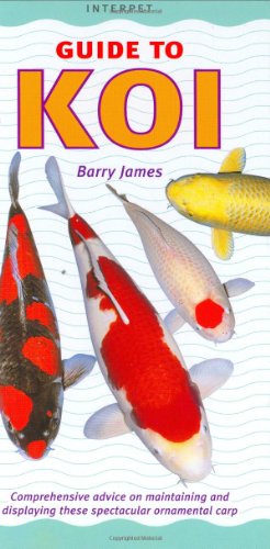 Beispielbild fr Guide to Koi (Fishkeeper's Guides) zum Verkauf von WorldofBooks