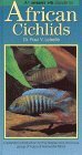 Beispielbild fr Interpet Guide to African Cichlids (Fishkeeper's Guides) zum Verkauf von AwesomeBooks