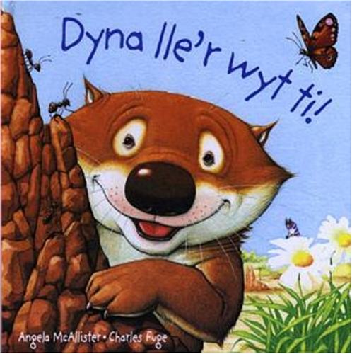 Stock image for Dyna Lle'r Wyt Ti for sale by MusicMagpie