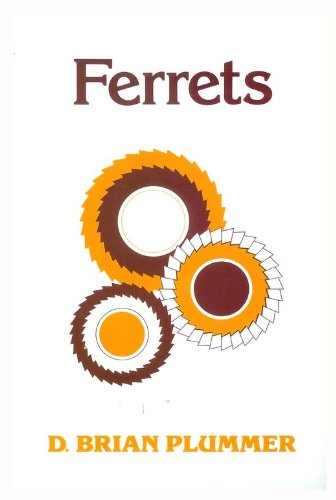Beispielbild fr Ferrets zum Verkauf von WorldofBooks