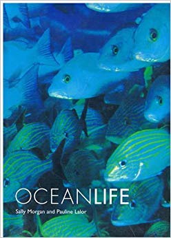 Ocean Life (9781902616667) by Sally Morgan