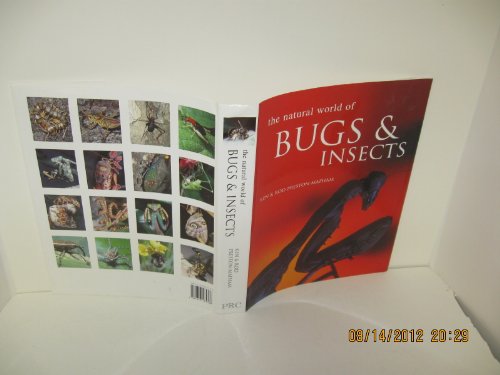 Beispielbild fr Natural World of Bugs & Insects zum Verkauf von K Books Ltd ABA ILAB