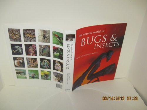 9781902616681: Natural World of Bugs & Insects