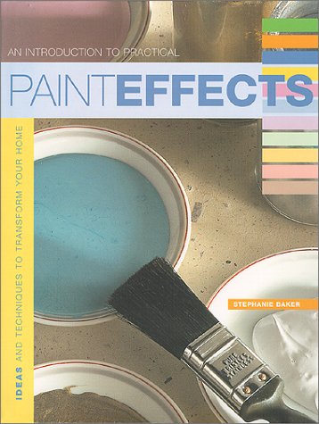 Stock image for Introduction to Practical Paint Effects, An: Ideas and Techniques to Transform Your Home for sale by Wonder Book