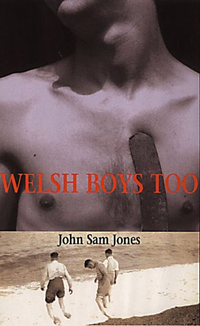 Imagen de archivo de Welsh Boys Too a la venta por Better World Books
