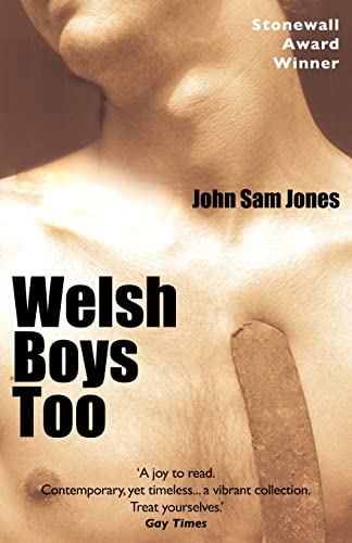 Imagen de archivo de Welsh Boys Too a la venta por HPB-Ruby