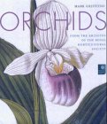 Imagen de archivo de Orchids a la venta por Blackwell's