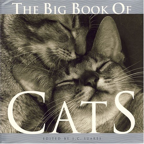 Stock image for The Big Book of Cats for sale by WorldofBooks