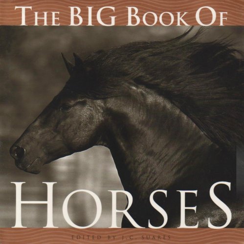 Beispielbild fr The Big Book of Horses zum Verkauf von WorldofBooks