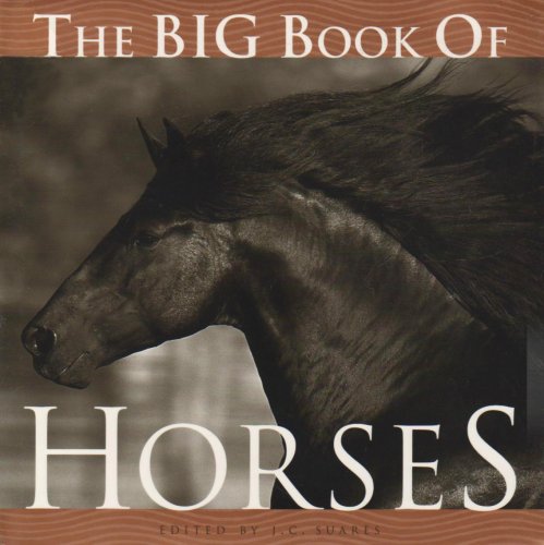 Stock image for The Big Book of Horses for sale by WorldofBooks