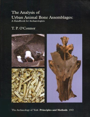 Beispielbild fr The Analysis of Urban Animal Bone Assemblages : A Handbook for Archaeologists zum Verkauf von Better World Books Ltd