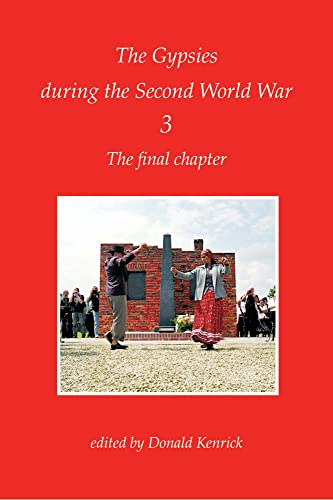 Beispielbild fr Gypsies During the Second World War: Final Chapter v. 3 (Interface Collection): The Gypsies During the Second World War zum Verkauf von WorldofBooks