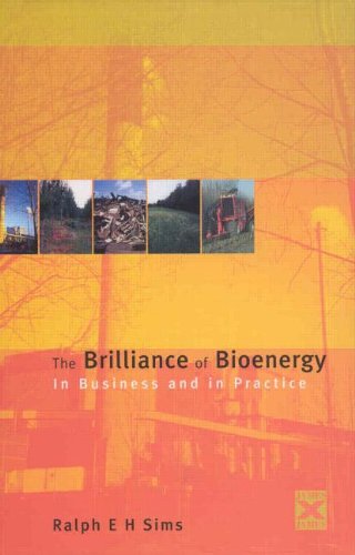 Stock image for The Brilliance of Bioenergy: In Business and in Practice for sale by Ammareal