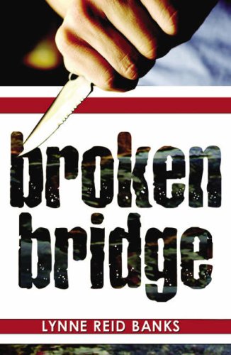 9781903015681: Broken Bridge